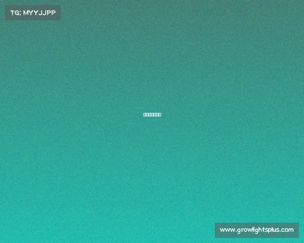 三星电竞俱乐部