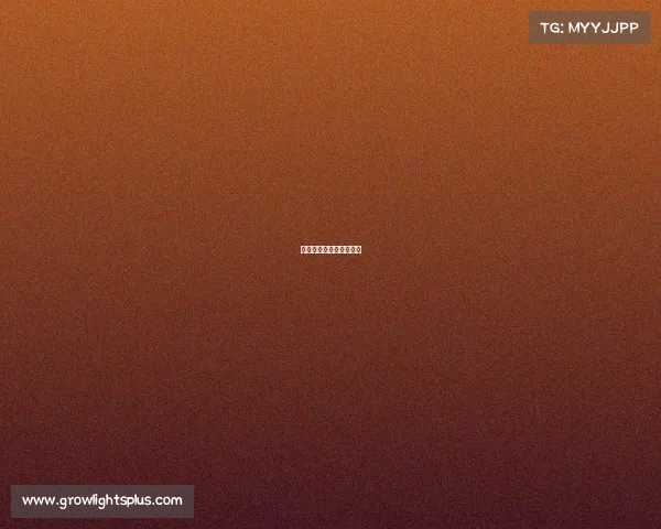 佐敦道餐饮管理有限公司