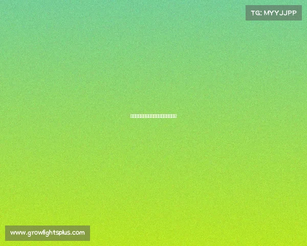 或许这就是电子竞技—电竞不仅仅是游戏