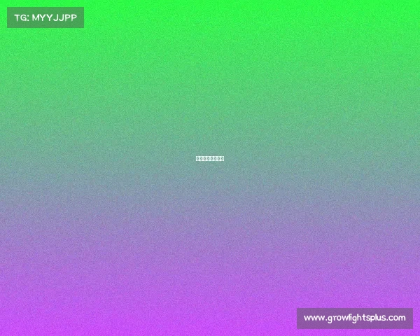 技校有电子竞技吗