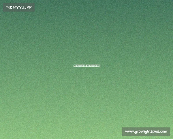 文理双修：当电竞专业碰撞多元职业赛道