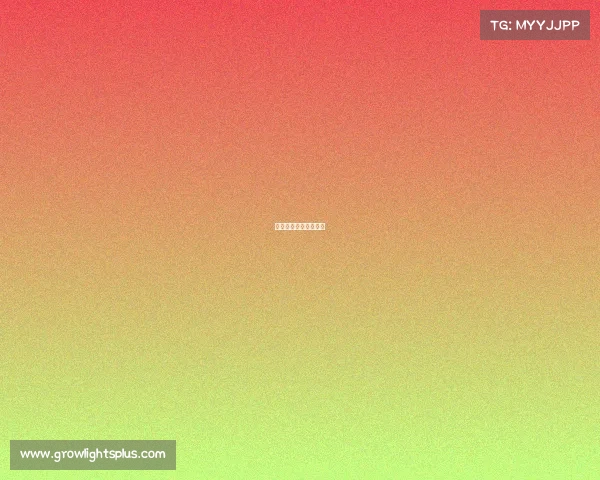 武汉电子竞技协会会长