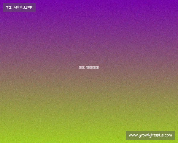 沙尔克04电竞舵手的新征程