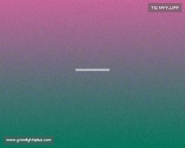 电子竞技决赛第四局、电子竞技决赛第四局是什么