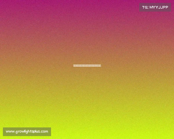 电子竞技影响经济电子竞技带动的经济发展