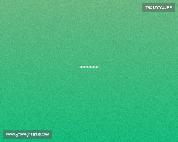 《赛场之上，我们为信念而战》