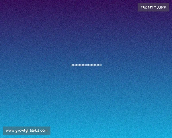 奥运会电子竞技项目几块 北京奥运会有电子竞技