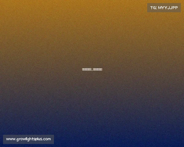 早期电子竞技_电子竞技简史