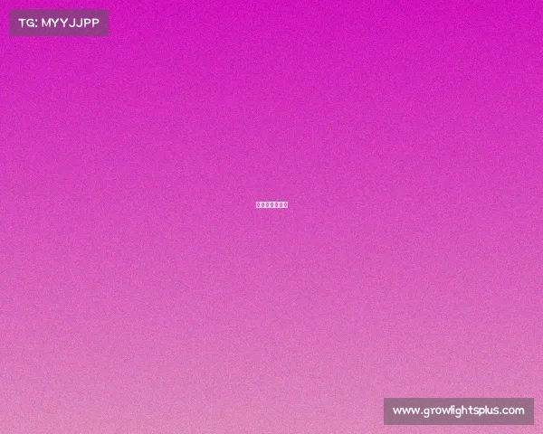 电竞粉丝叫什么