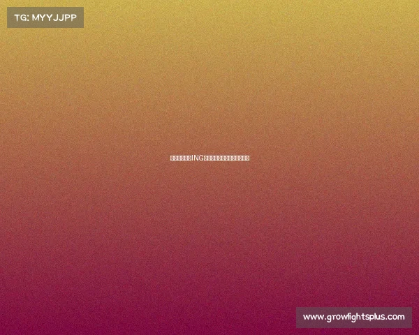 荣耀铸就征程ING战队热血集结，剑指巅峰对决