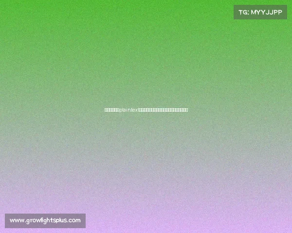 韩国电竞法案plaintext京畿道电子体育振兴框架构建与实践路径研究